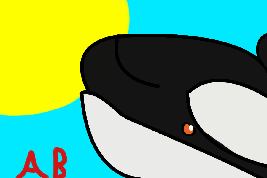 Orca