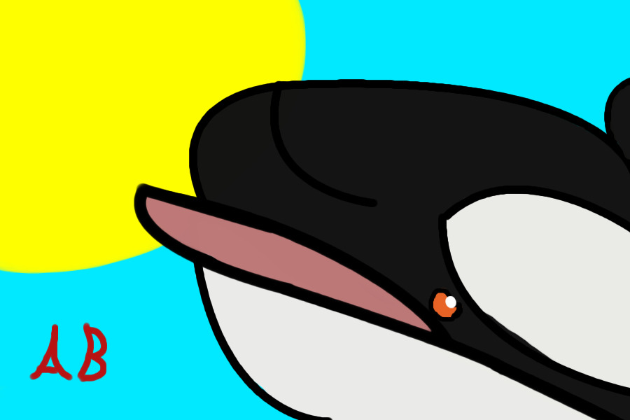 Orca 2