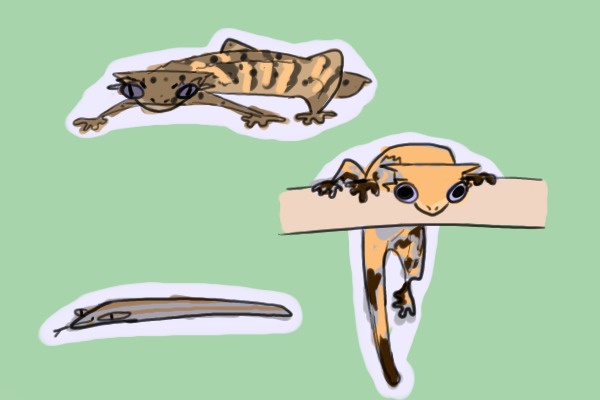them reptiles