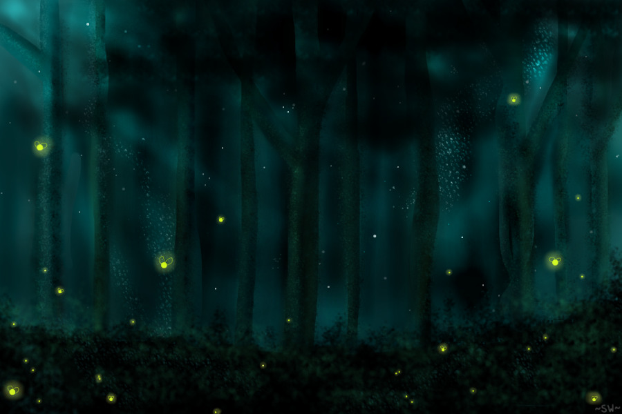 you would not believe your eyes...