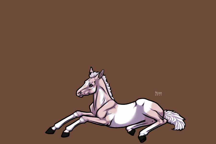 #0040 Perlino Pinto With Unique Facial