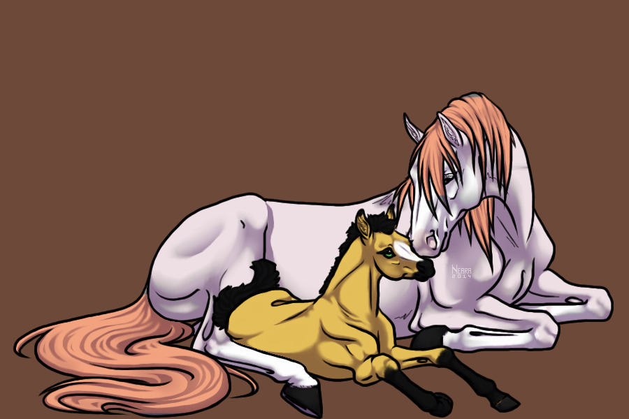 #0048 Buckskin With Blaze