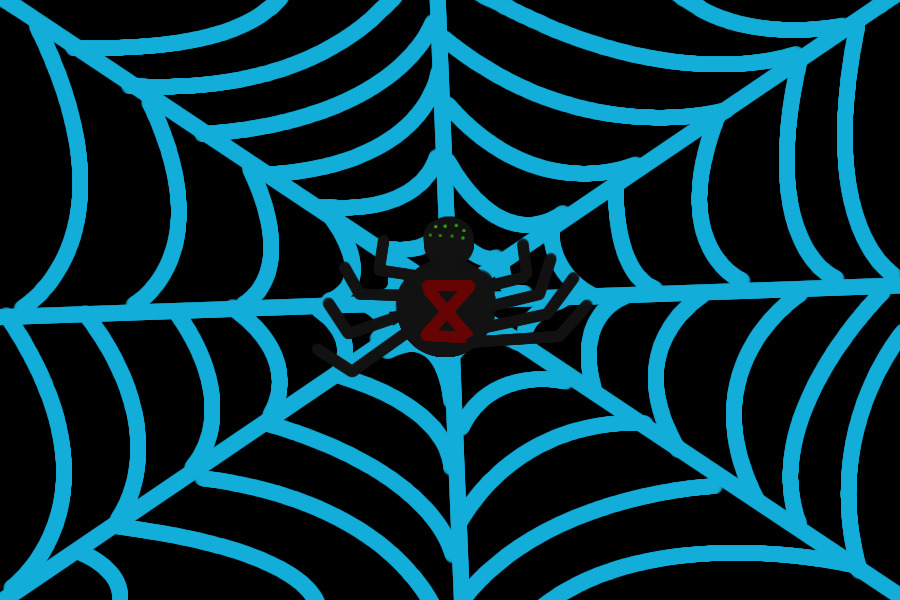 Spider + Web