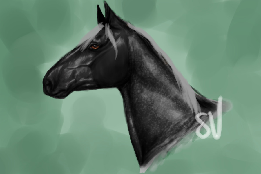 Art For National Show Horse Association Point shop