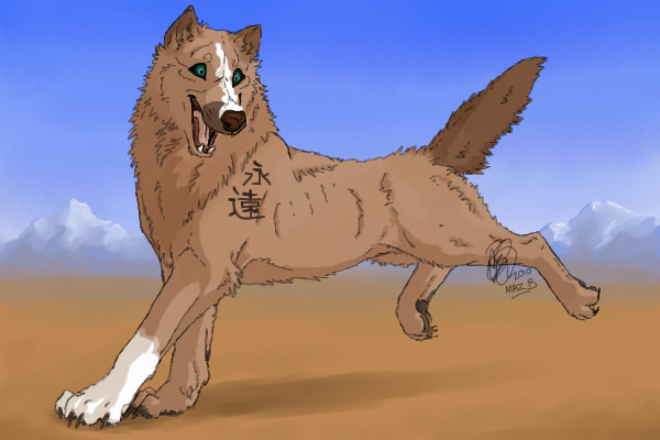 New Character