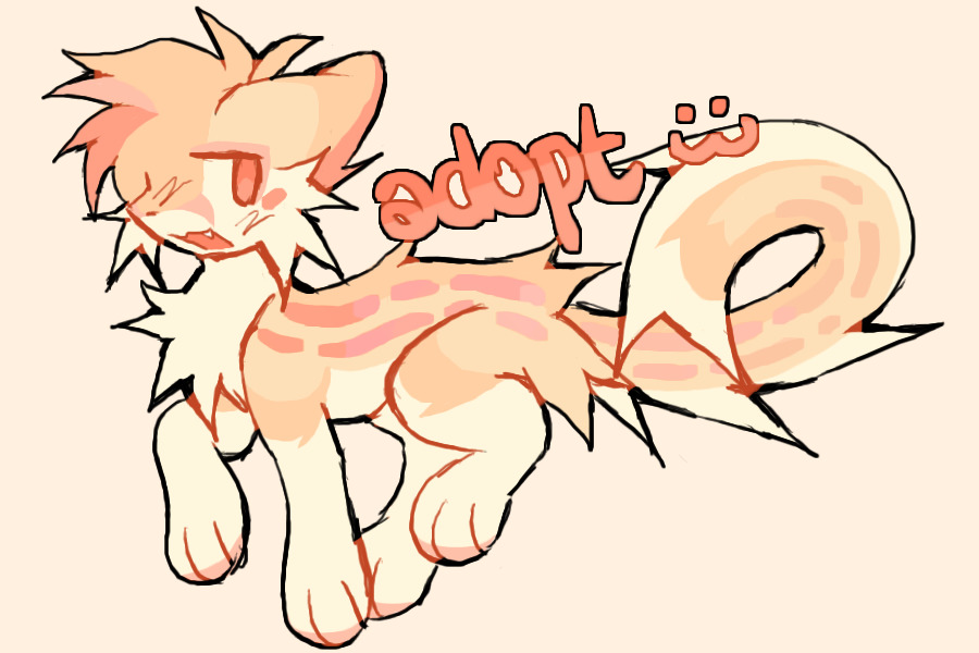 orange kitty adopt !