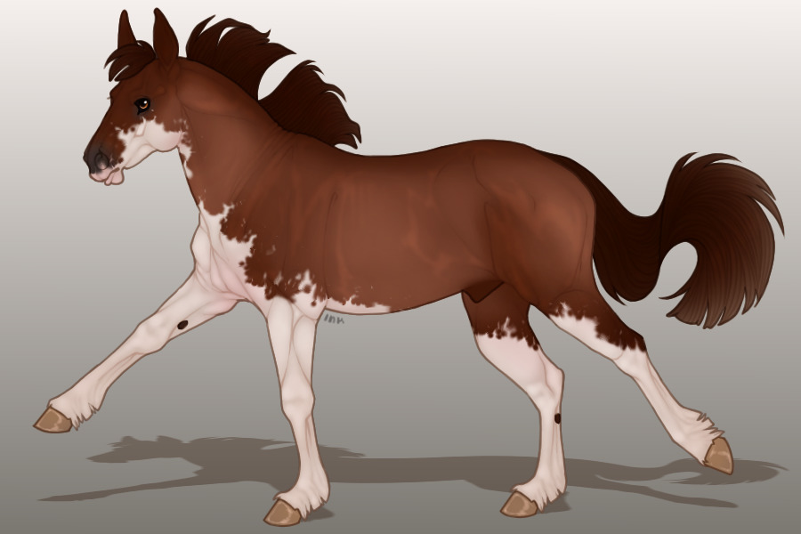 Mule-Eared Torden #0129