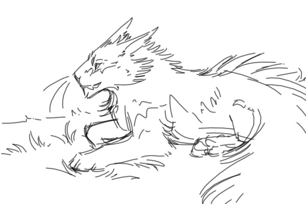 Quills