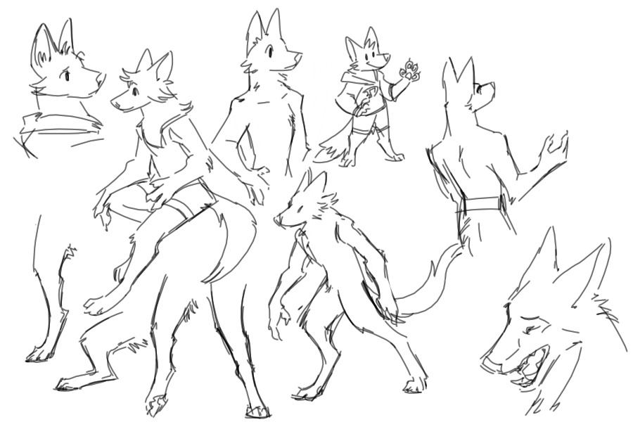 Canine Anthros