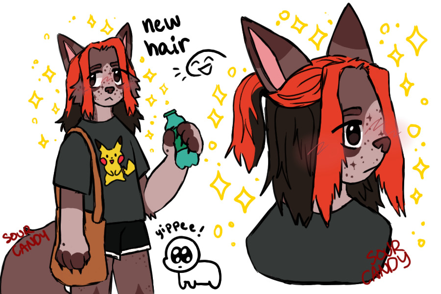 dyed my hair ( ・∇・)/