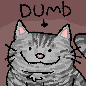 Silly cat