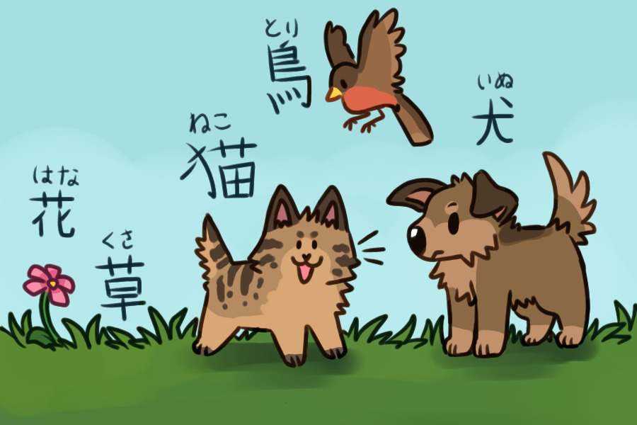 Practice and Doodles