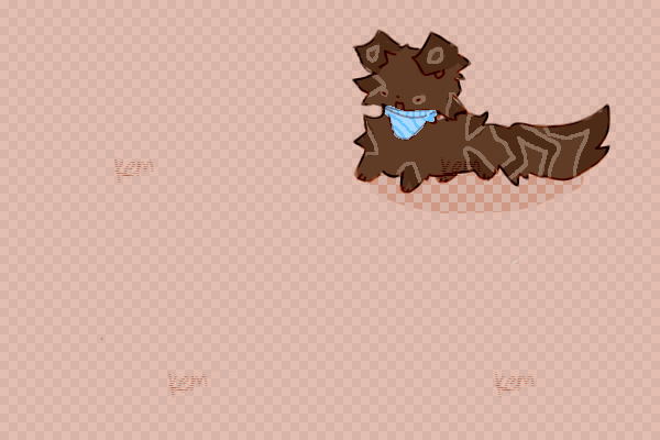 Chocco