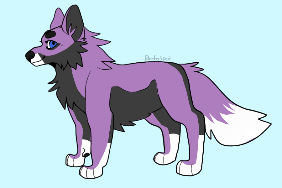 a purple