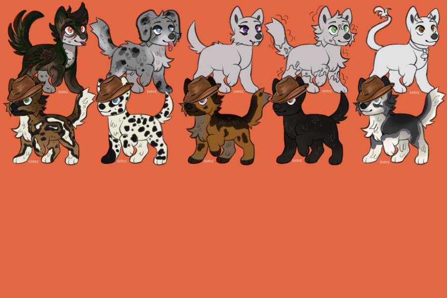 cowboy pups (7 avaliable)
