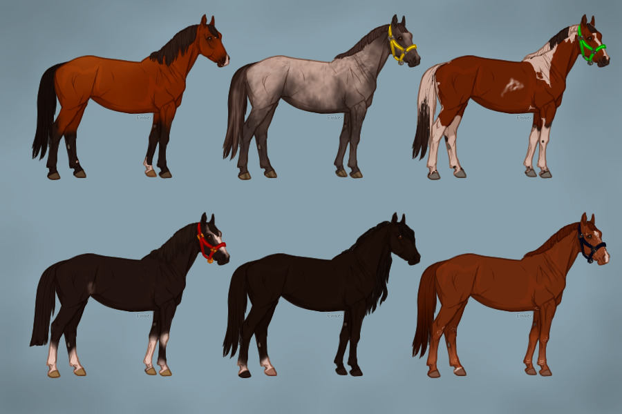 barn horses