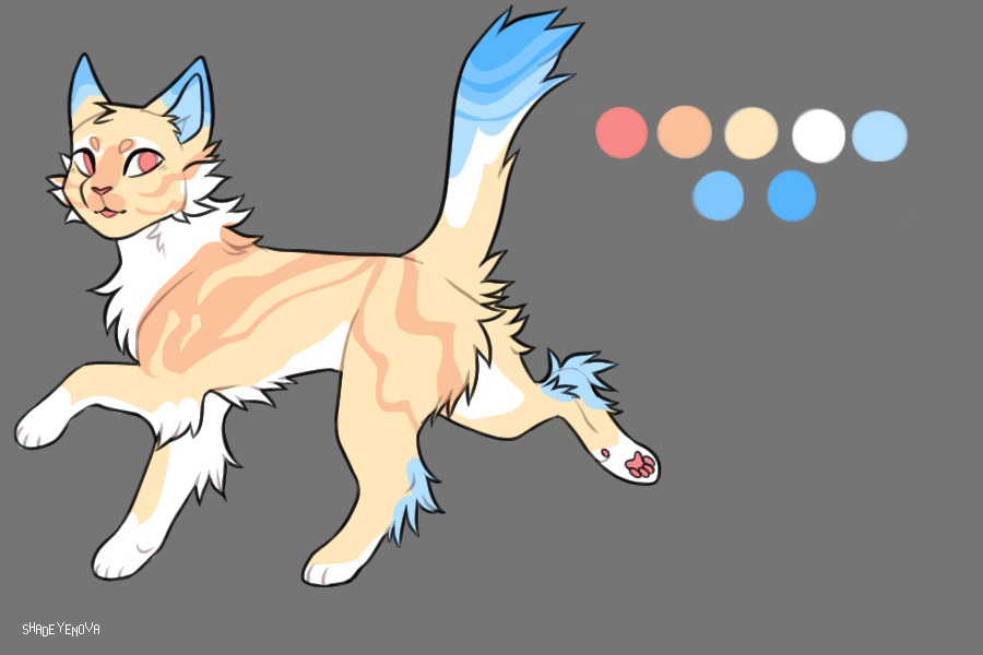 Kitty #9