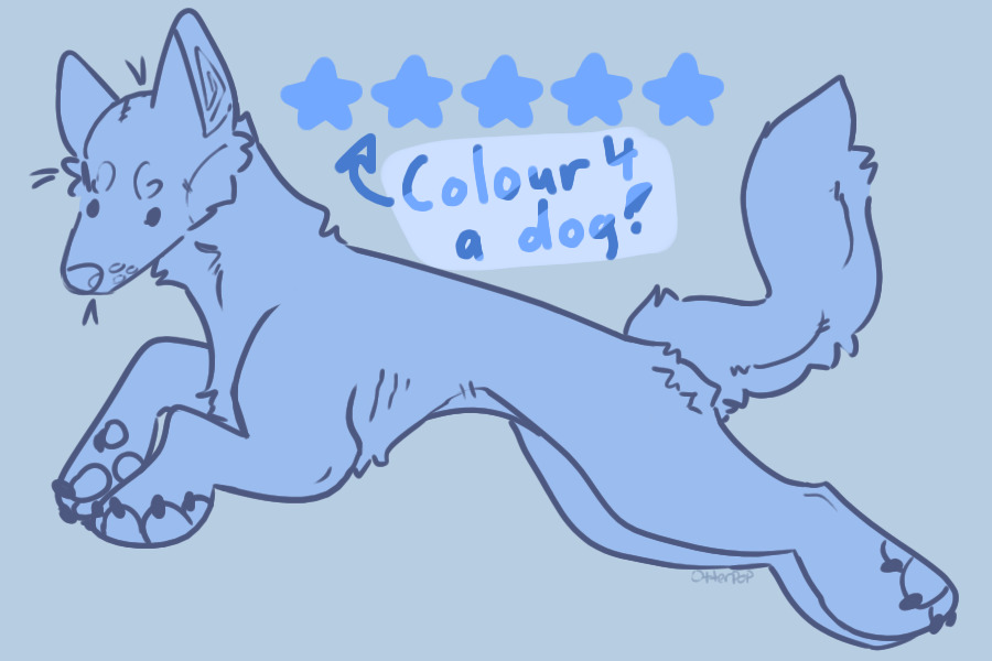 Colour Palette 4 a Dog!