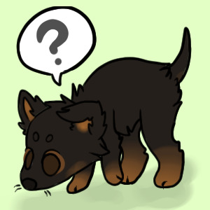 Athena (sniffing around base)