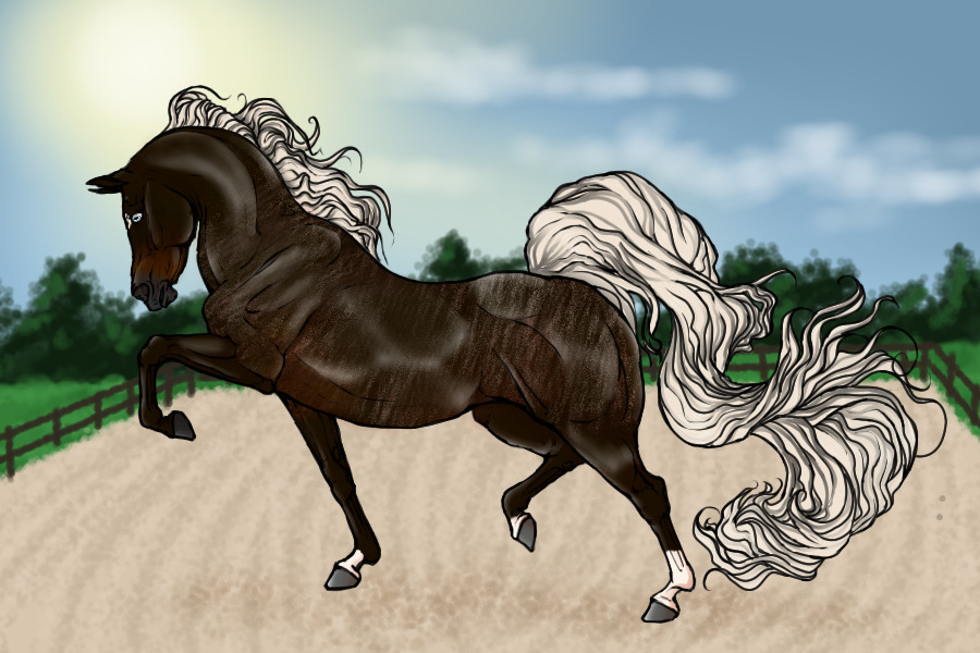 Silver Seal Bay Brindle Mare