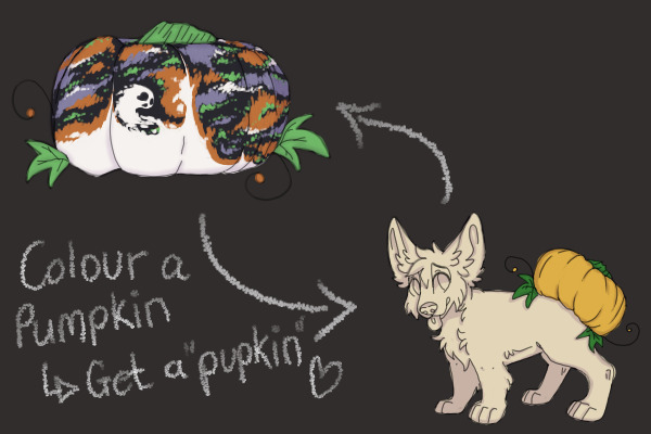 Halloween merle pupkin entry