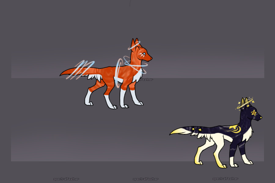 Space canine adopts 10 c$(CLOSED)