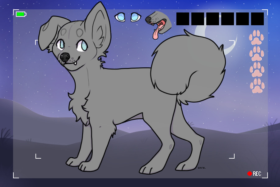 Pawtube Puffies - Species for sale