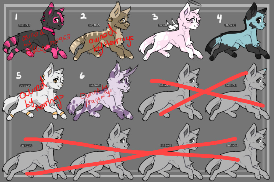 Canine Adopts | CLOSED
