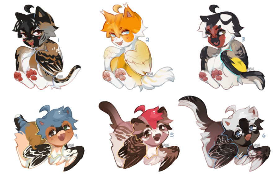catbird adopts; 4/6 open!