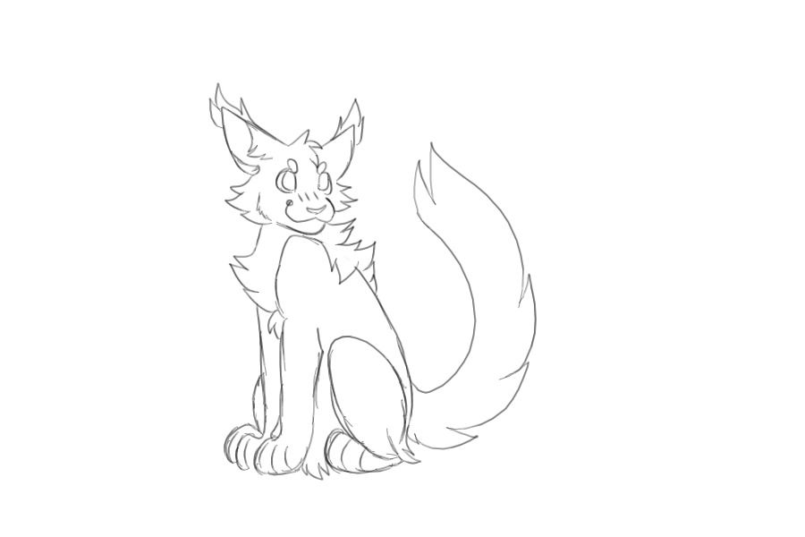 kitty practice
