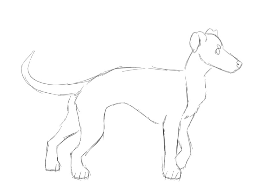 uncanny greyhound