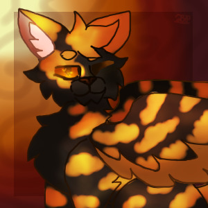 Mr.Firefly