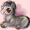 Lil grey one