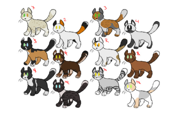 cat adopts ota
