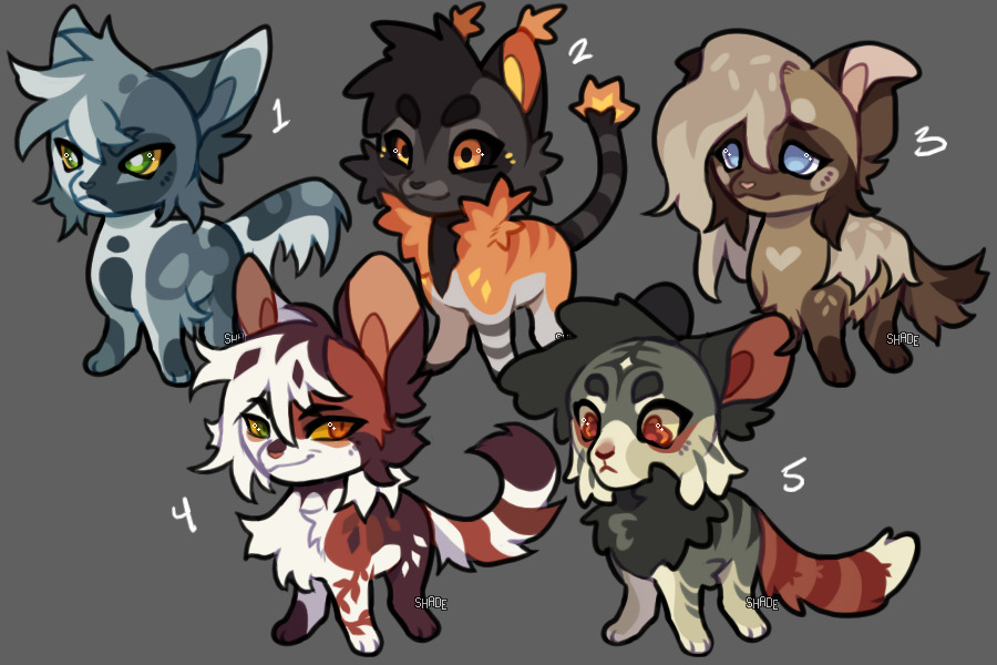 kidty adopts [closed]
