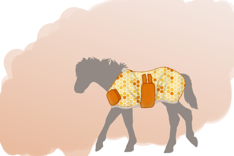PHR Blanket Foal