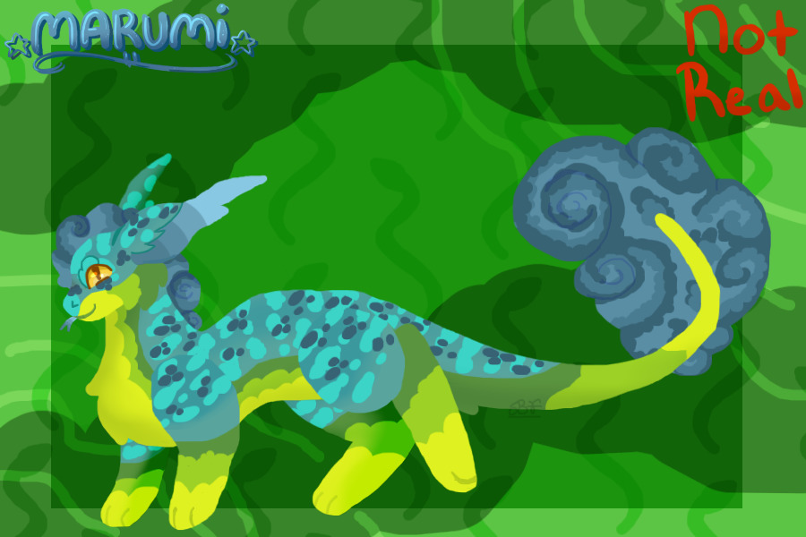 Marumi Entry