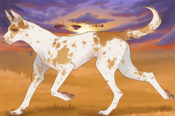 SENEGAL HOUNDS : 373