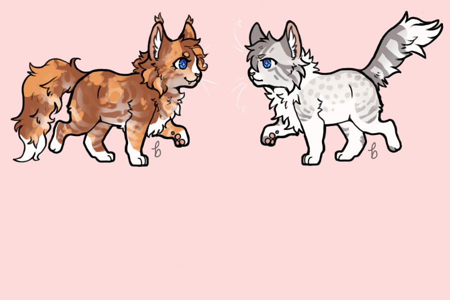 Stars Breeding #991 - Gentlestorm x Orbit