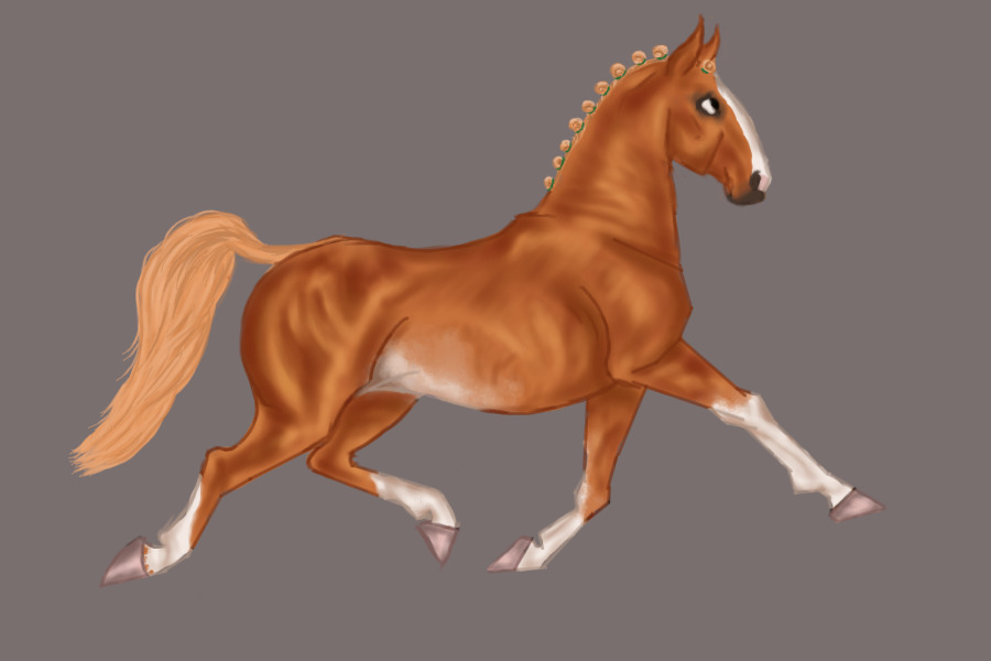 Tuigpaard
