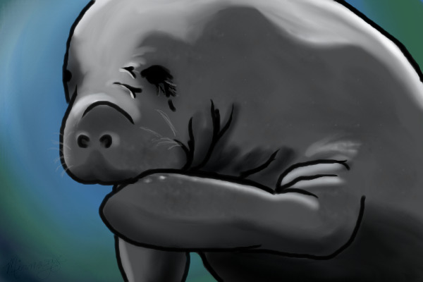The Gentle Gaint