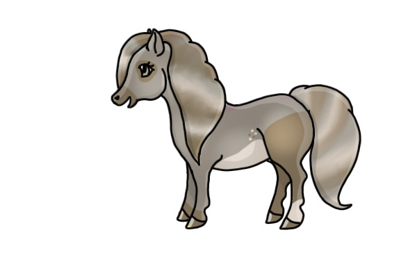 Coontail Pony
