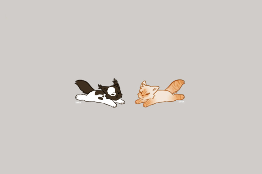 Brownie & Creamsicle
