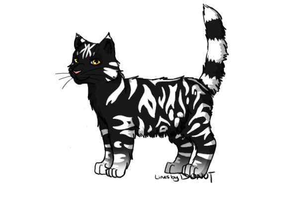 Warrior Cat - ~Jackie~ (Custom)