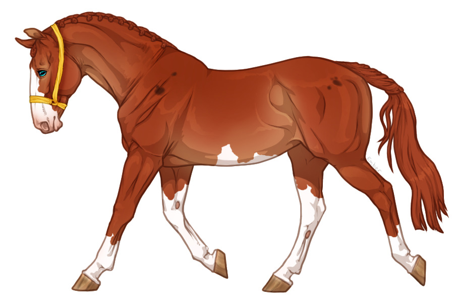 Range Trotter #4918