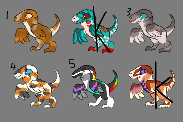 ota raptors open