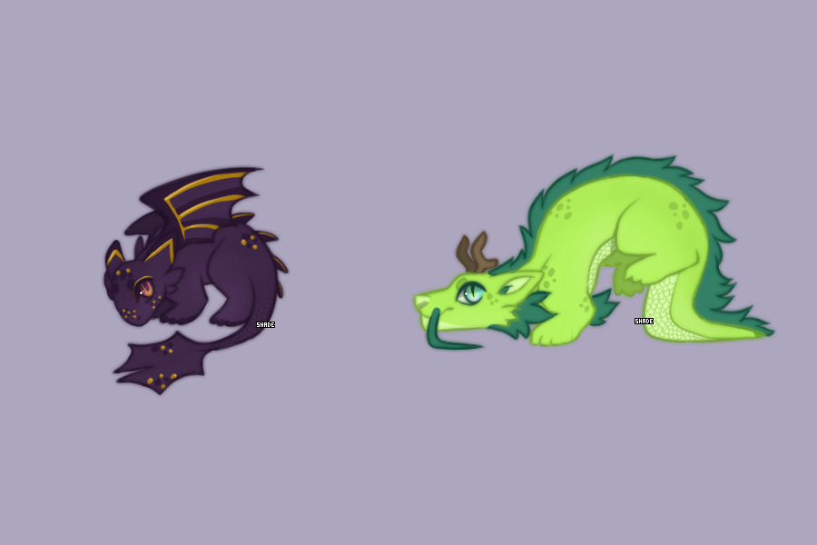 cute lil dragons