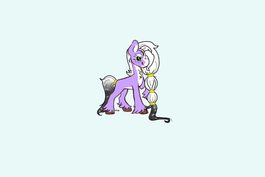 ponyy
