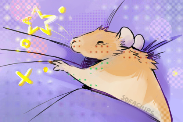 Sweet dreams!
