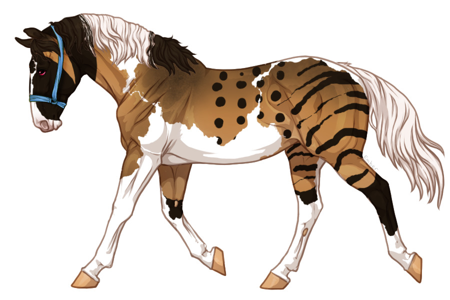Range Trotter #F2610